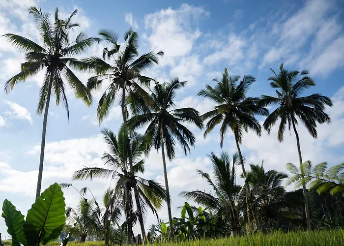 Moonterra Ubud By Dhananjaya Hospitality 4*