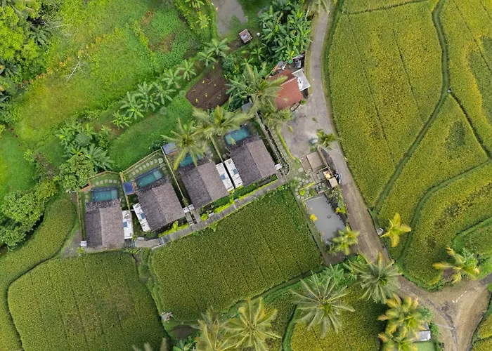 Moonterra Ubud By Dhananjaya Hospitality ベッド・アンド・ブレックファスト 4*