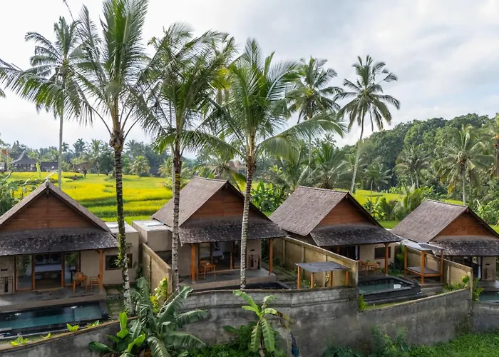 ベッド・アンド・ブレックファスト Moonterra Ubud By Dhananjaya Hospitality 4*