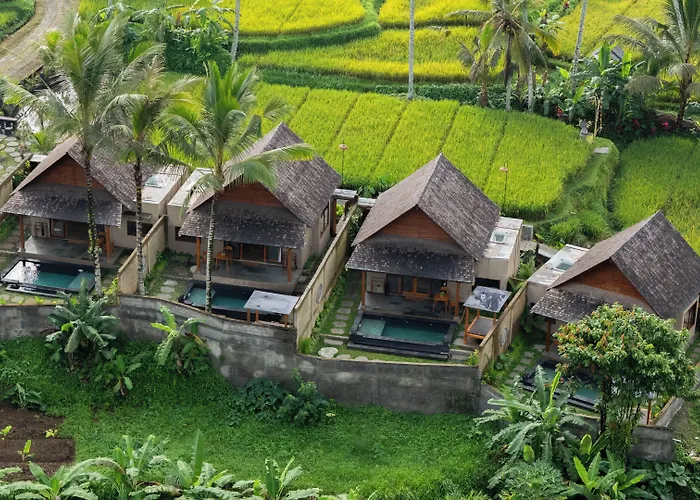 فندق مبيت وإفطار Moonterra Ubud By Dhananjaya Hospitality