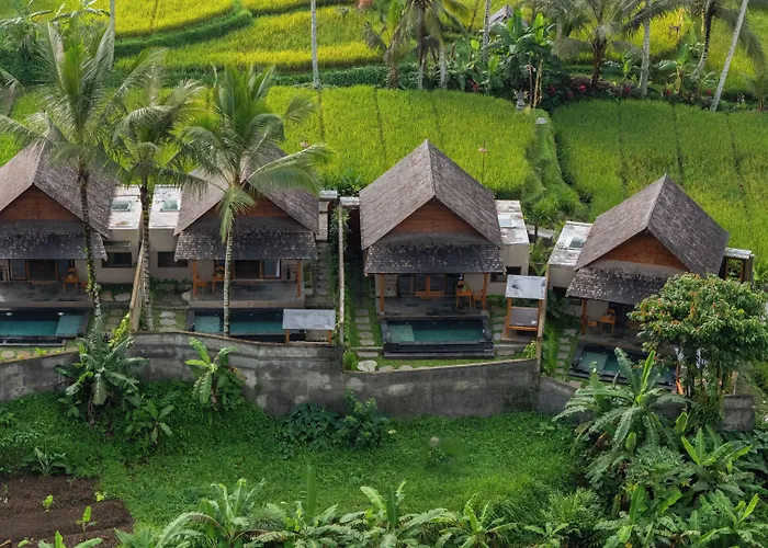 Moonterra Ubud By Dhananjaya Hospitality فندق مبيت وإفطار 4*